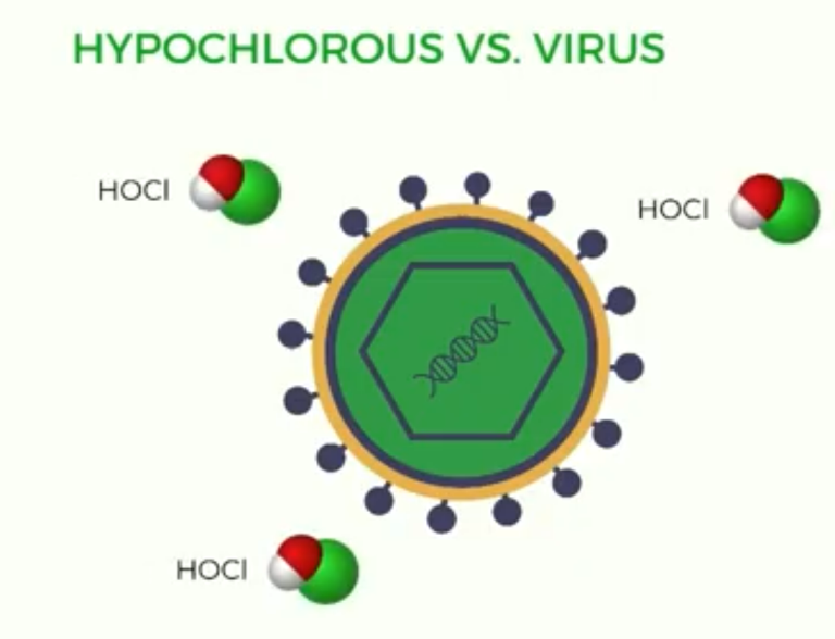 چگونگی عملکرد اسید هیپوکلروس در برابر ویروس‌ها