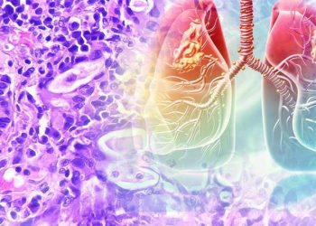 1713441796141.jfif 1713441796141.jfif